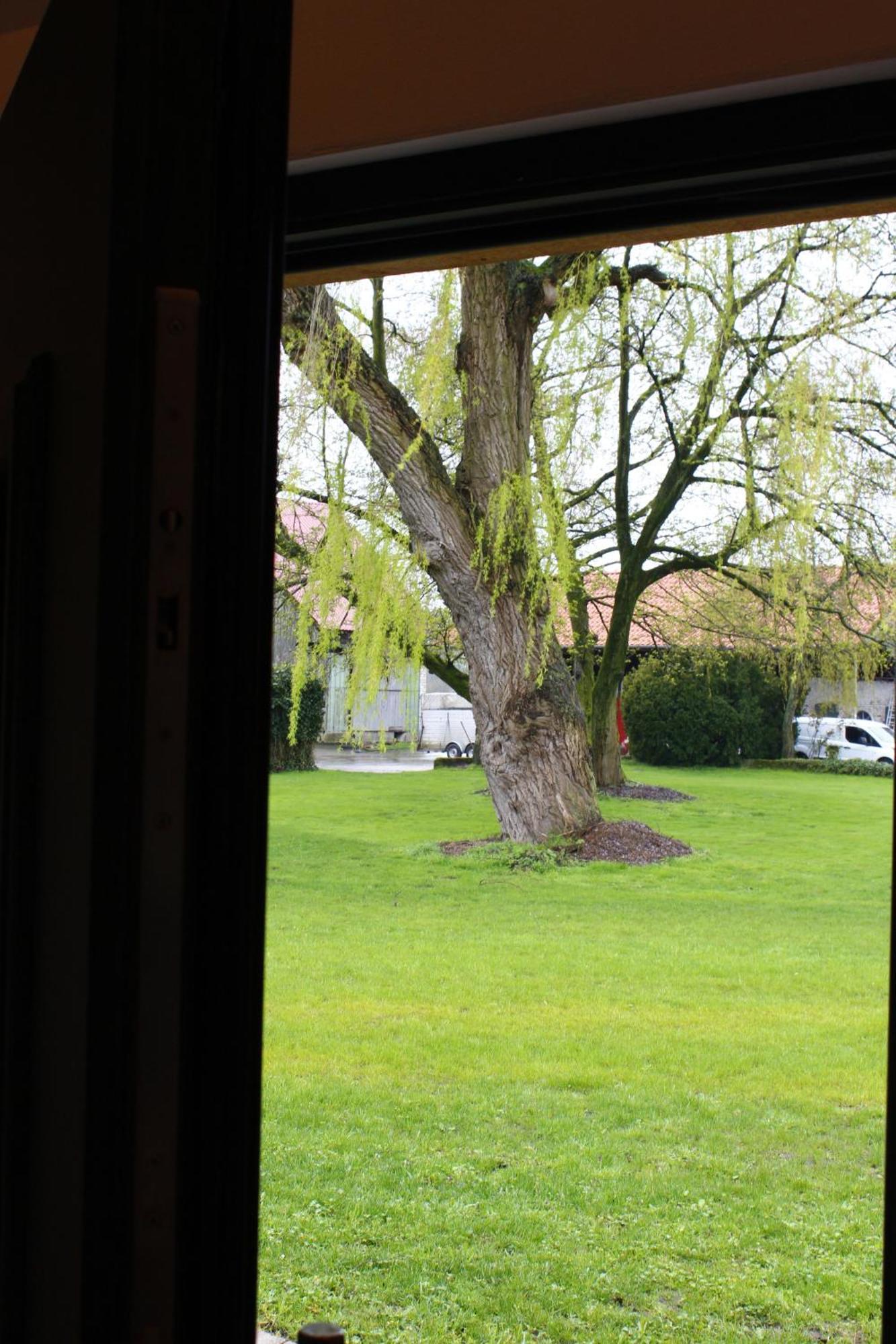 Weitblick - Ruhepol In Muensterlaender Parklandschaft Apartment Duelmen Ngoại thất bức ảnh